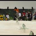 IMG_6365 _Large_.JPG