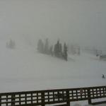 Mammoth - 13/02/2012